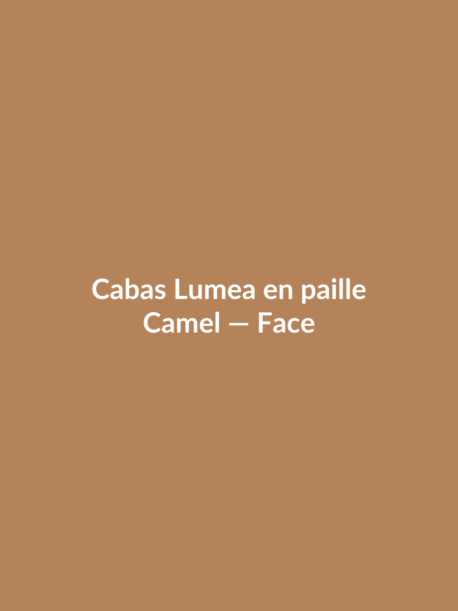 Cabas Lumea en paille — Camel, vue face